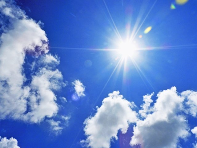pl-999281858316_640.jpg
