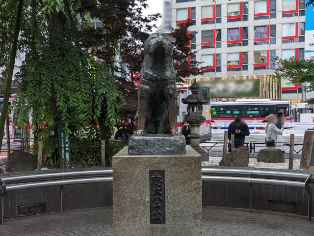 PXL_20220614_040734576_ぼかし.jpg