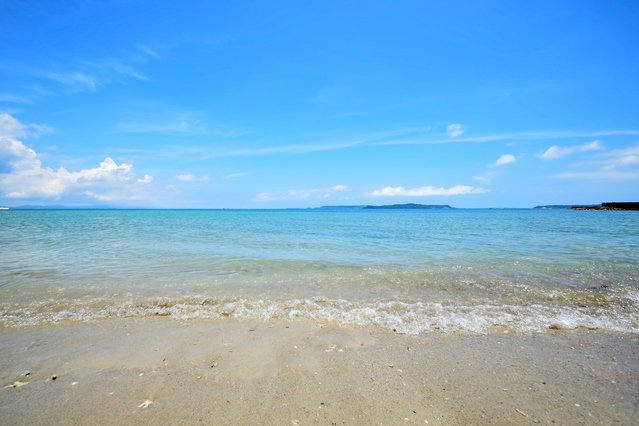 pl-999258375_640.jpg