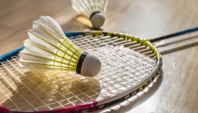 pl-badminton_daitia_640.png