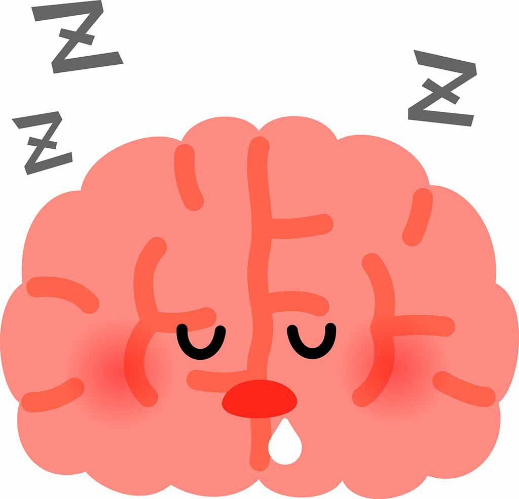 寝ている脳のイラスト