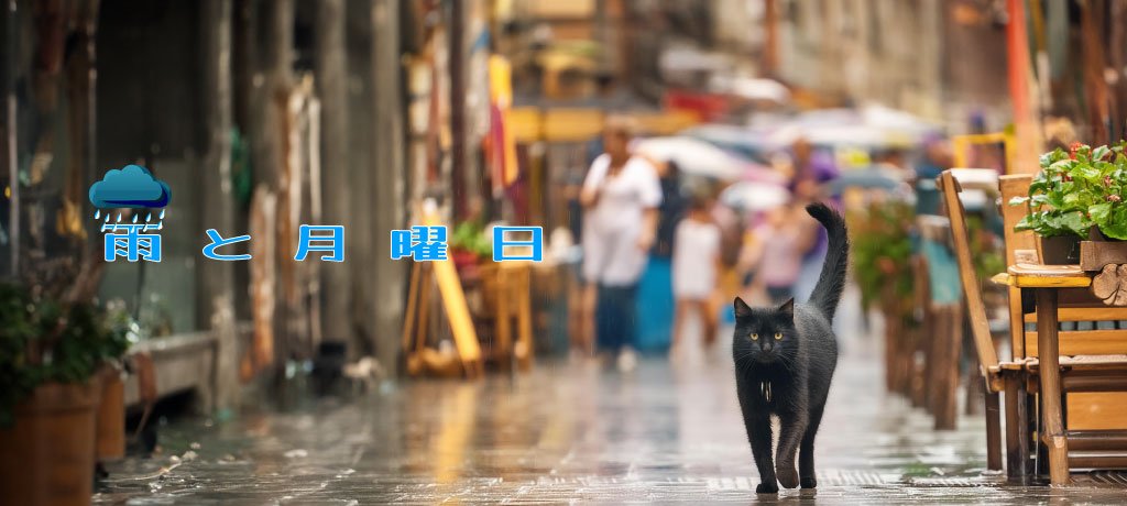 雨の中を歩く黒猫